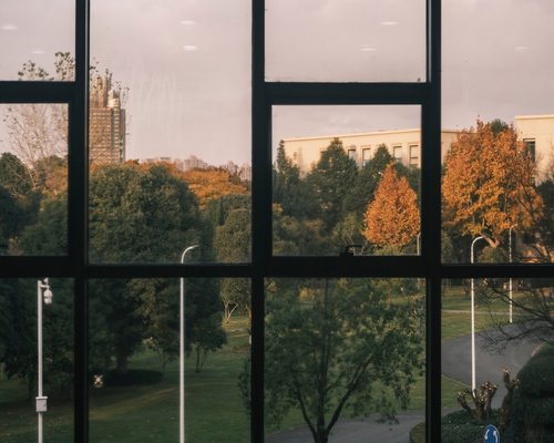 A person stretching by a window overlooking a park
